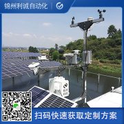 定制化中学香蕉APP下载
