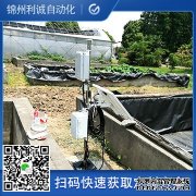 自动香蕉APP下载,七要素香蕉APP下载