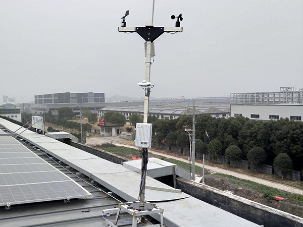 山东一体化香蕉APP下载种类